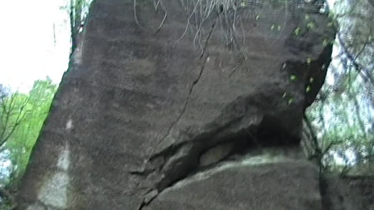 Wiehengebirge U-Verlagerung Dachs/Stöhr