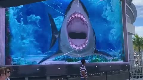 Shark 🦈 Attack In Nassau Bahamas 🇧🇸