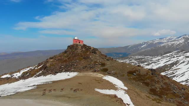 Drone footage of a beautiful snowy rock place where will deers are running