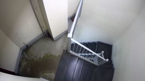 3209LHOBGRStairwellnearNJ-CStDoor_2021-01-05_17h20min03s200ms.mp4
