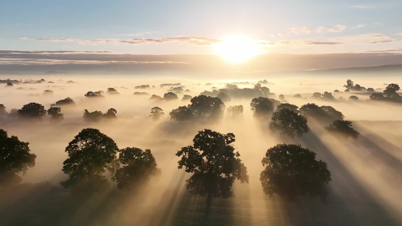 Ethereal Light - Sunrise through the morning mist - Beautiful English Countryside