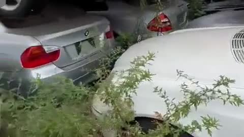 Abandoned vehicle parking field automobile maintenance