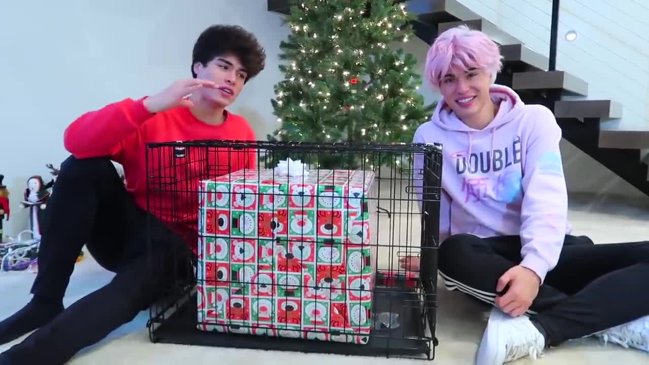 Top Christmas Pranks to do at home