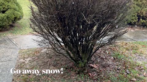 Snow, Go To Canada