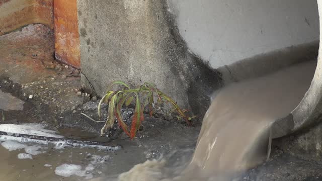 Pollution from a river harming the environment 🤦🏽♂️🏞️