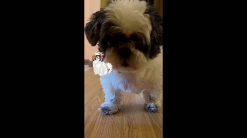 This Is How She Walks