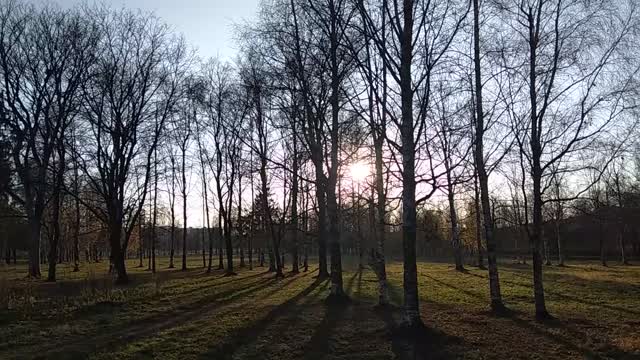 Panorama of the Park in late autumn