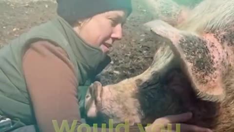 When Animals Ask For Hugs