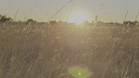 Sunrise in South Africa