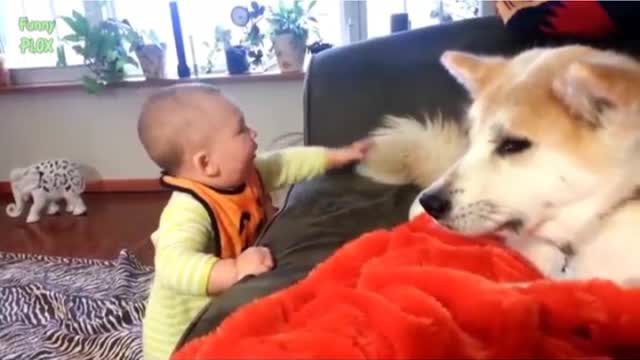 Cute baby playing with funny dog || #Funnydog#Cutydog#Funnydogvideos2021