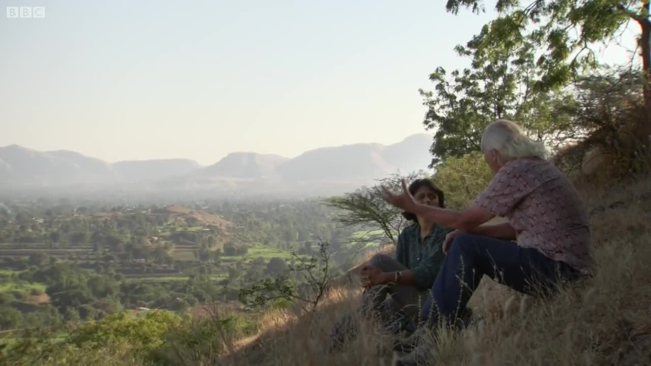 Translocation Stress on Leopards | Leopards: An Unnatural History | BBC Earth