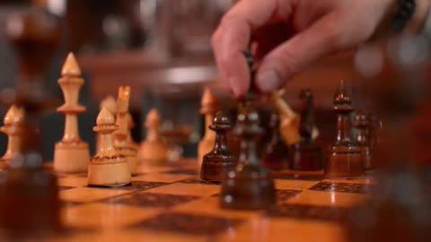 A Life of A World Chess Champion