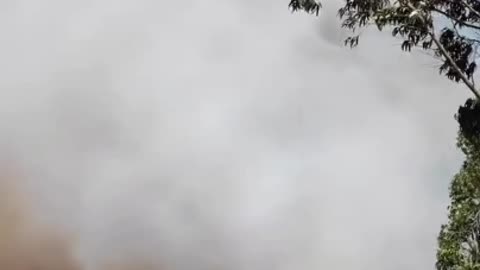 Witness the Intensity of a Forest Fire 🔥🌲