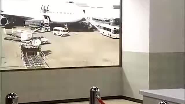 Hilarious customs inspection
