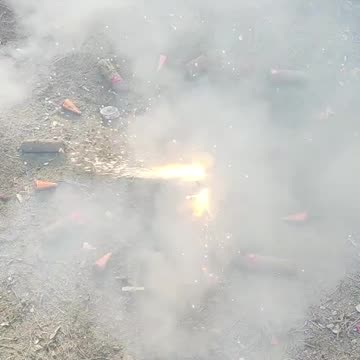 Experiment #Boom #CuteBaby #FunnyCat #SweetDog