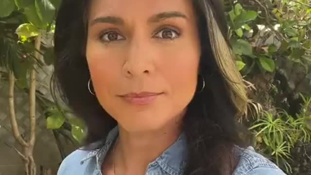 Tulsi Gabbard On FDA Confirming Hormone Drugs Have Dangerous Side Effects On Children