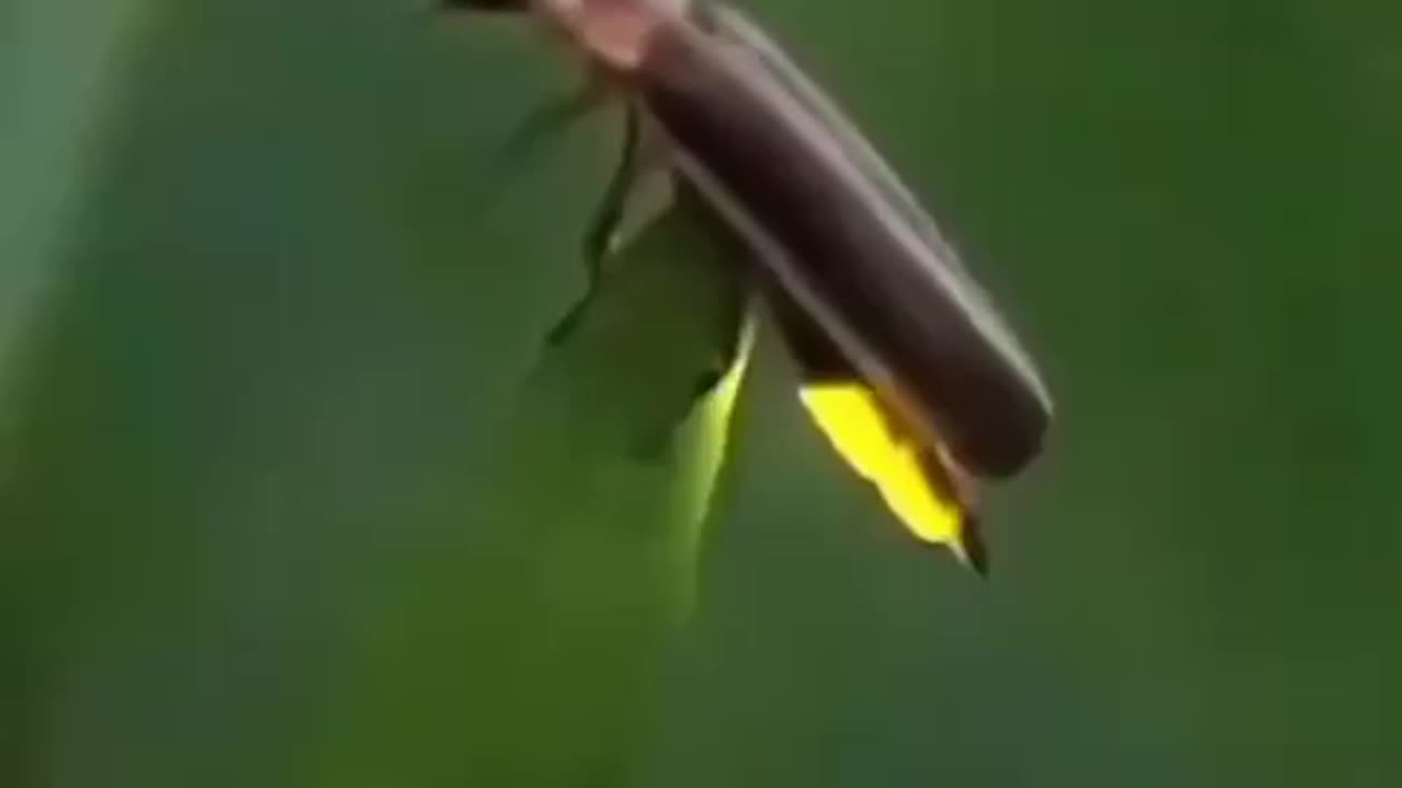 Electricity in the Lonesome