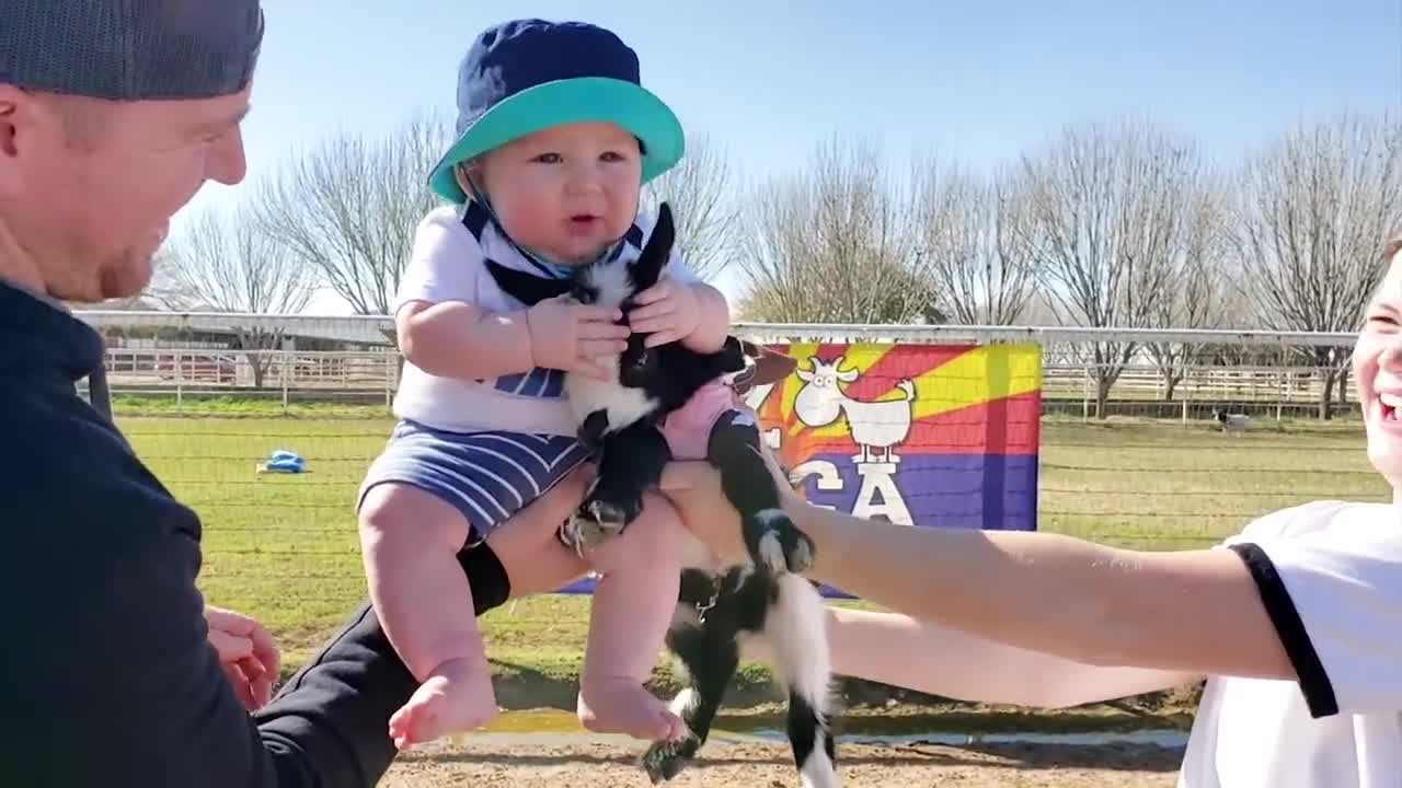 Sweet moments _ the first time babies meet animals