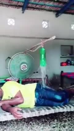 👍👍 Entertainment