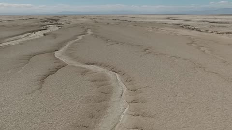 Christafari - One Thing Remains (Official Music Video) feat. Avion Blackman