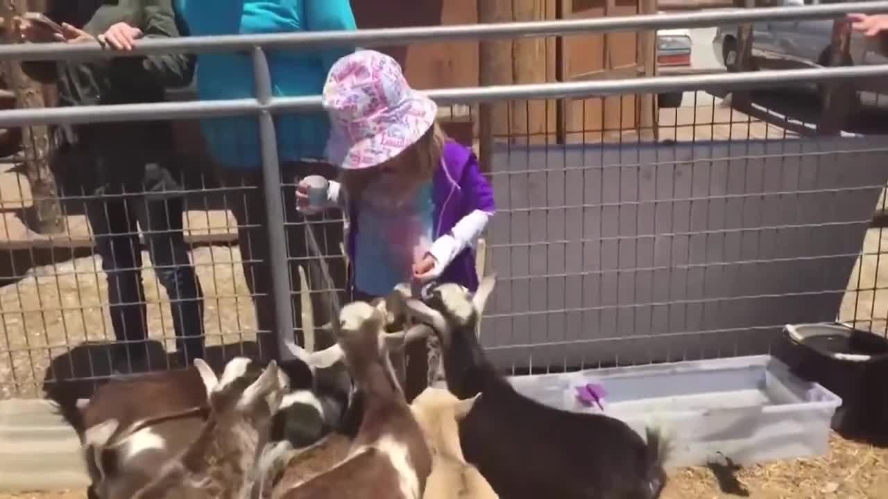 Kids vs. Animals FUNNY | Compilation |
