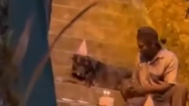 Homeless man celebrate his dog's birthday 😭 challenge you can't hold your years