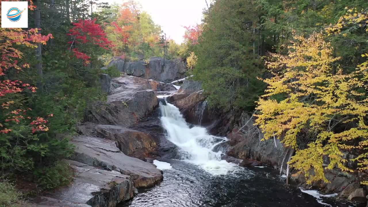 autumn colors