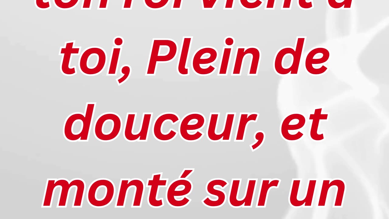 "Voici Ton Roi Humblement Monté sur un Âne"Matthieu 21:5#shorts #shortvideo #youtubeshorts #ytshorts