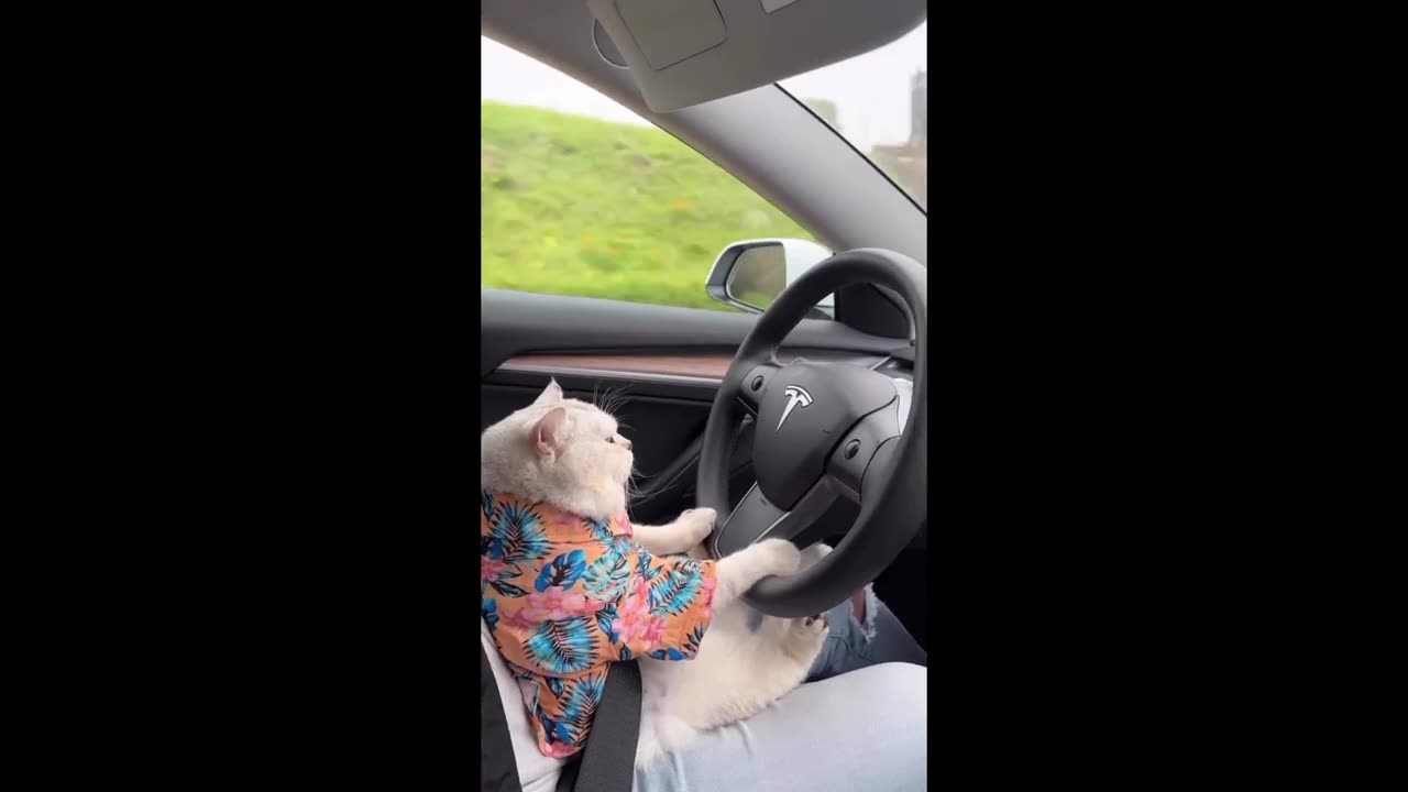 Funny Fails Compilation🤣🤣😂😂#viral#best fails#comedy#funn