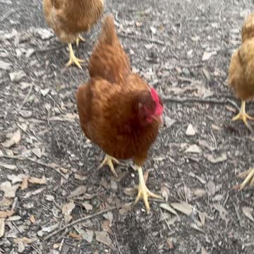 Ooo I have a following