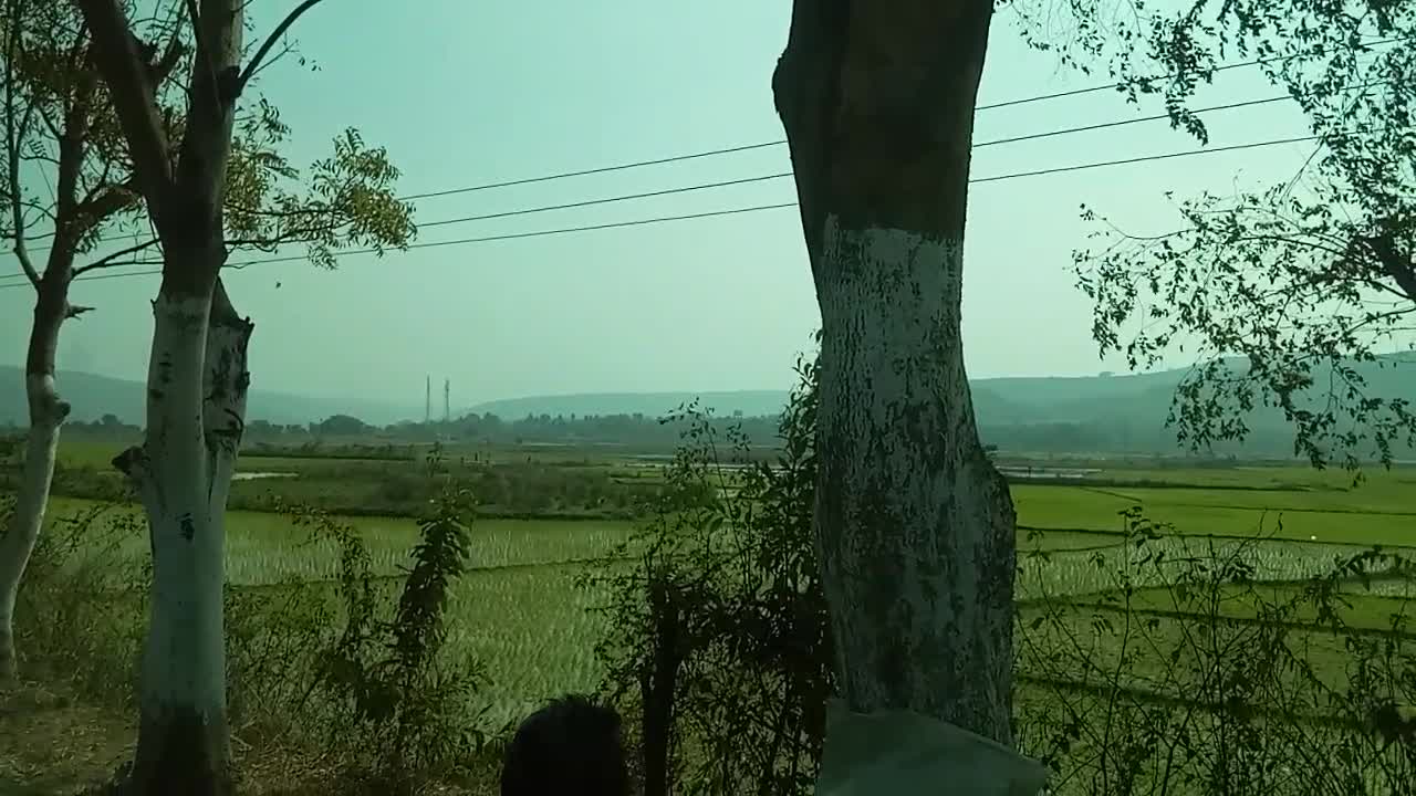 View of a road-side with a mountain