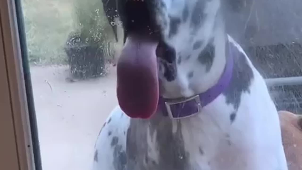 TRY NOT TO LAUGH 😆 Best Funny Videos Compilation 😂😁😆