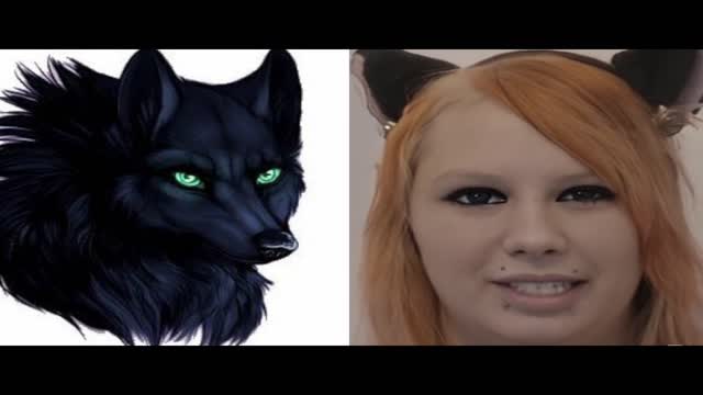 FURRY FUN