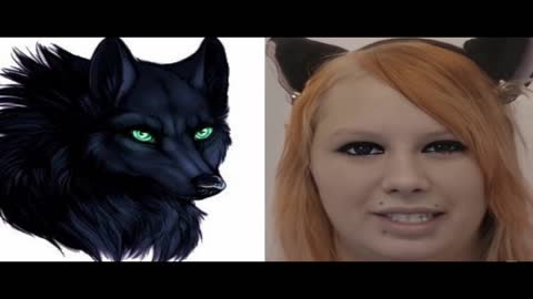 FURRY FUN