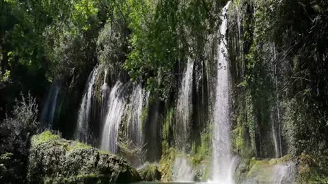 MUSIK ABOUT NATURE