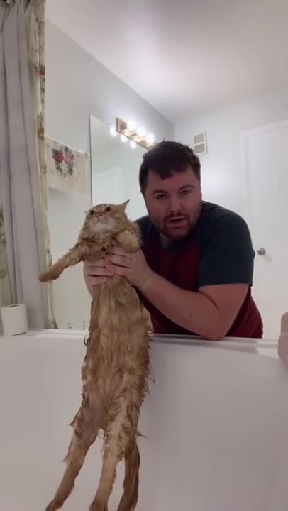 Guy is trying to give his cat a bath and it's hilarious!