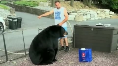 Man tells a bear he’s not invited and has to leave…😳🐻