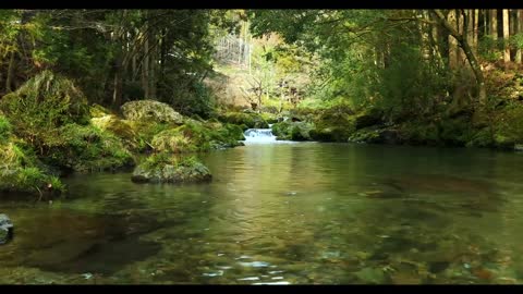Relaxing Music | Sleeping, Meditation, Stress Relief | [334] ⭐️