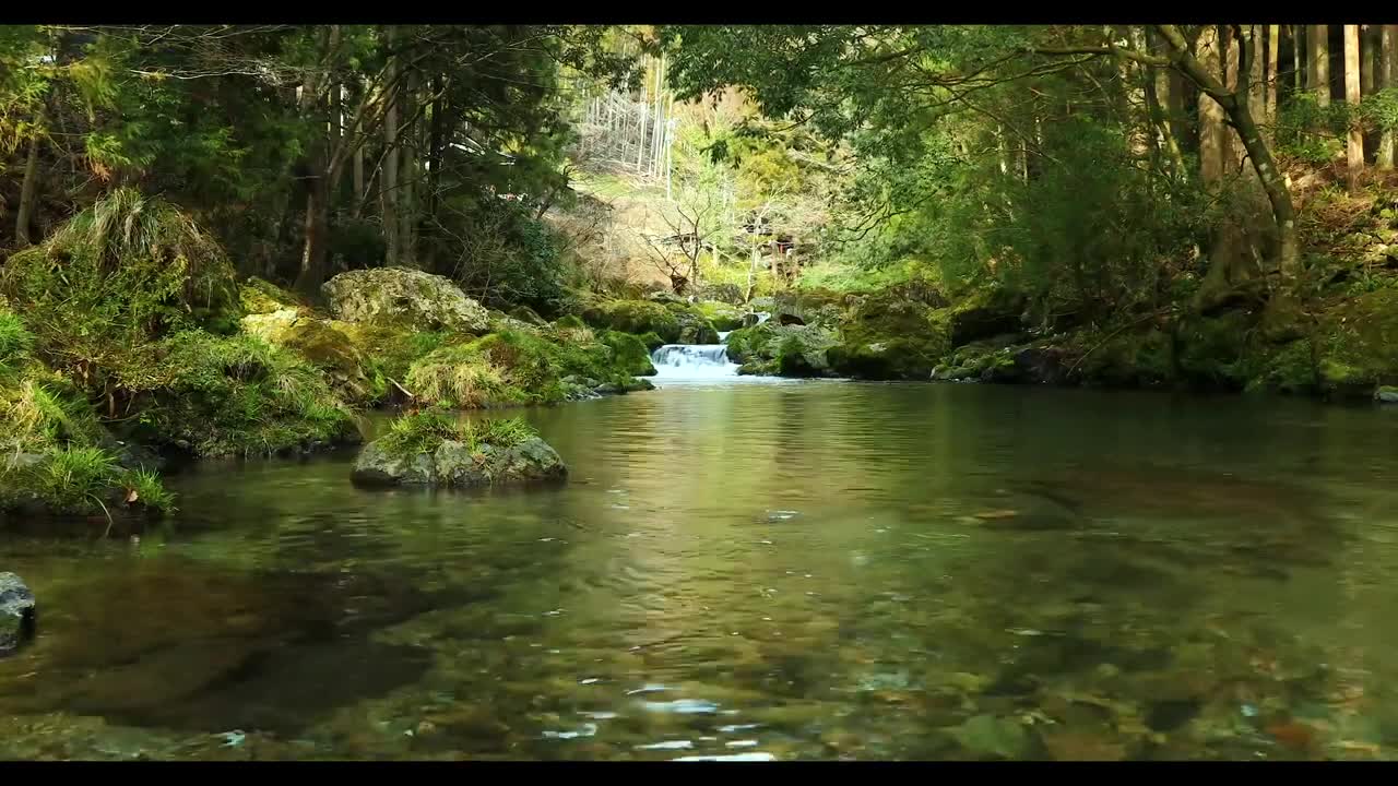 Relaxing Music | Sleeping, Meditation, Stress Relief | [334] ⭐️