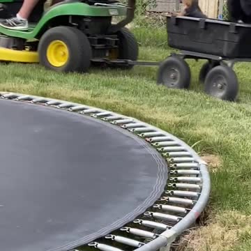 Dog brothers help out with the lawn mowing!