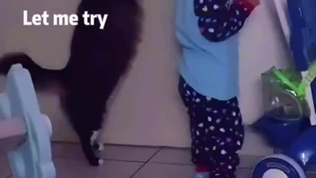 Cat and kid