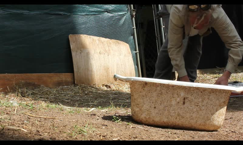 Two Eastern Brown Snakes Removed from Duck Pen