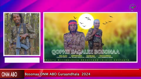 Qophii Sagalee Bosonaa Gurraandhala-13, 2024