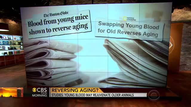 Truth in plain sight look