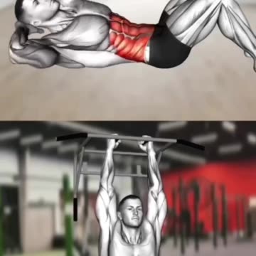 Home and gym obliques