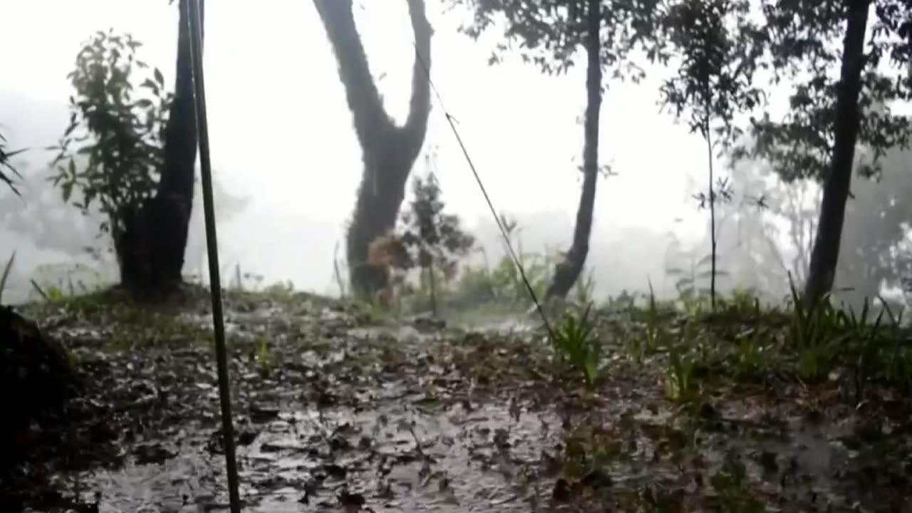 Relax on a rainy day camping in the wilderness