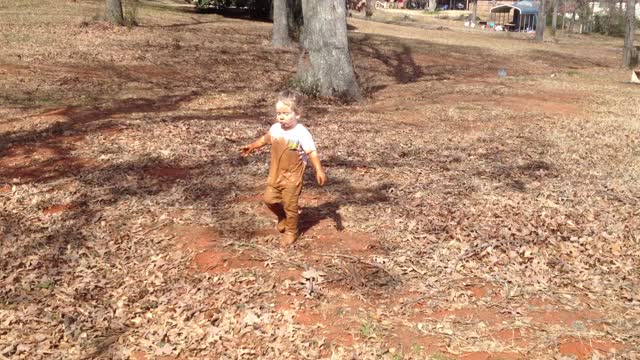 Playing in the Mud is Hard Work