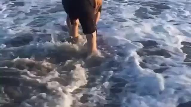 Man helping dolphin