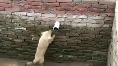 It's not easy to go up