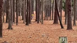 INSANE OVERHAND DISC GOLF ACE